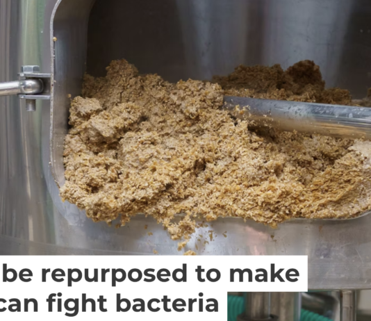 Some compounds in waste produced in the brewing process could be repurposed for antibacterial drugs. Iuri Gagarin/iStock via Getty Images